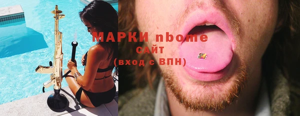 гидра Коряжма