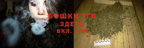 гидра Коряжма