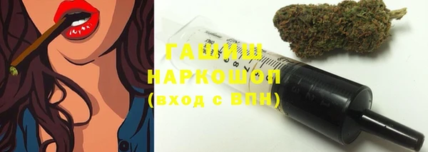 гидра Коряжма