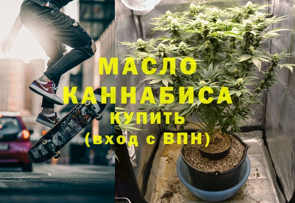 гидра Коряжма