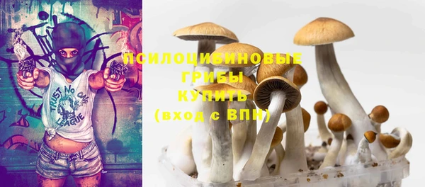 гидра Коряжма