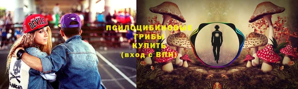 дурь Костерёво