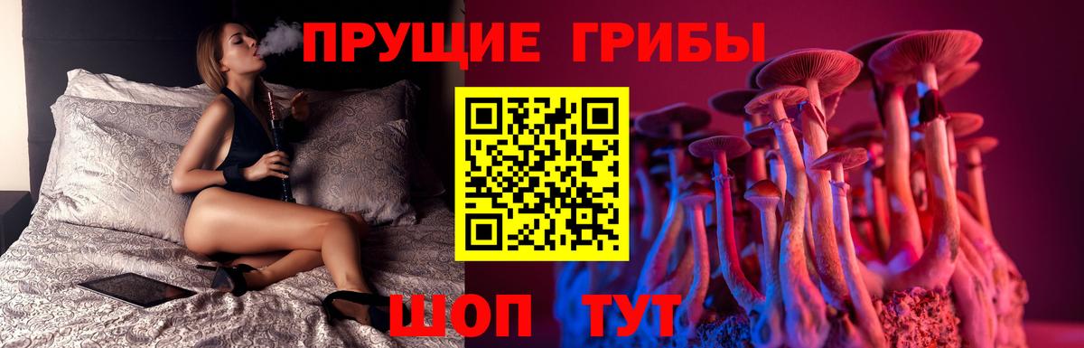 Галлюциногенные грибы мицелий  что такое наркотик  Большой Камень 