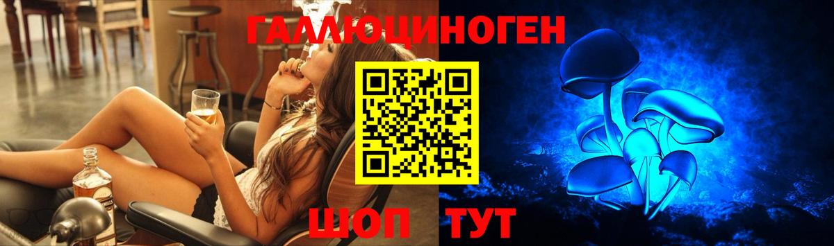 Псилоцибиновые грибы Cubensis  купить закладку  Большой Камень  Вход с VPN 